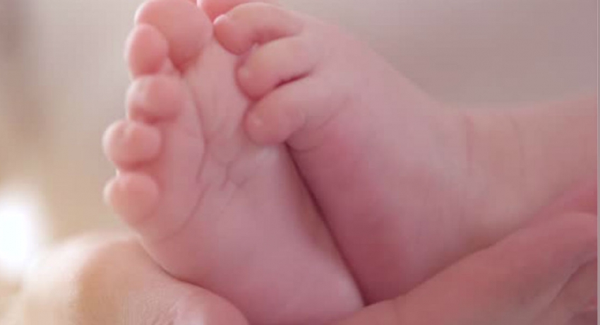 கைவிடப்படும் குழந்தைகளை ஒப்படைப்பதற்கான மத்திய நிலையங்கள் ஸ்தாபனம்