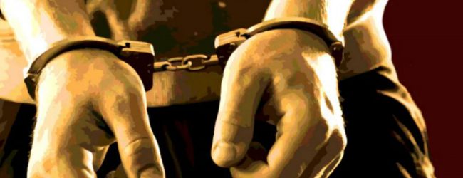 போலிப் பிரசாரங்களில் ஈடுபட்ட 7 பேர் கைது 