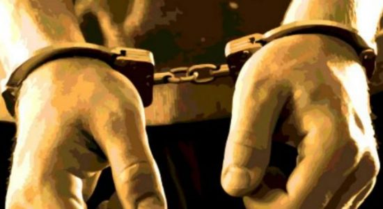 போலிப் பிரசாரங்களில் ஈடுபட்ட 7 பேர் கைது 