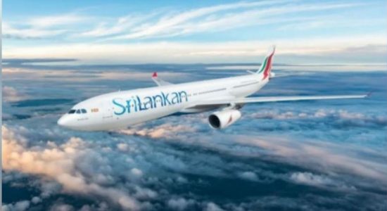 சீசெல்ஸில் சிக்கியிருந்த 254 பேர் நாடு திரும்பினர்