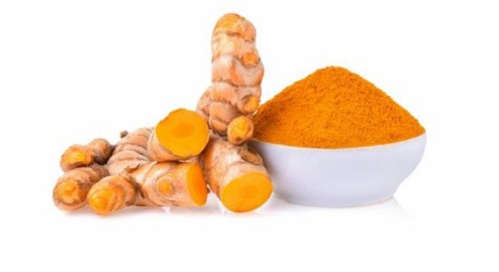 மஞ்சளை இறக்குமதி செய்யும் திட்டமில்லை