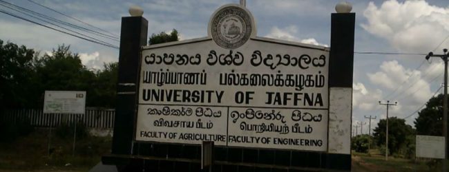 காட்டு யானை தாக்கியதில் விரிவுரையாளர் ஒருவர் காயம்