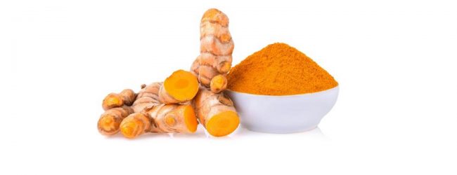மஞ்சளை இறக்குமதி செய்யும் திட்டமில்லை