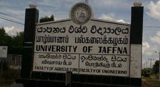 காட்டு யானை தாக்கியதில் விரிவுரையாளர் ஒருவர் காயம்