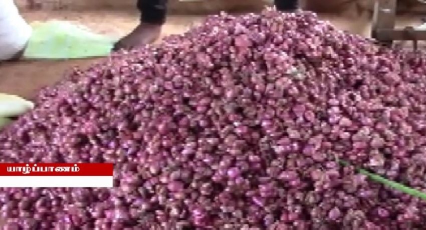 யாழ். மாவட்ட சந்தைகளில் வெங்காயத்தின் விலை உயர்வு