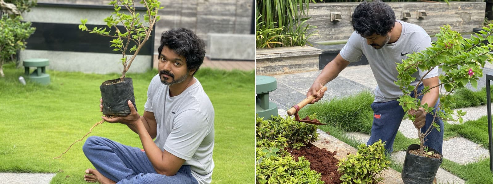 சவாலை ஏற்று மரக்கன்று நாட்டிய இளைய தளபதி 