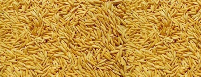 5 இலட்சம் கிலோகிராம் நெல் கைப்பற்றப்பட்டுள்ளது