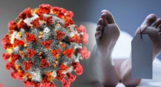 Closed - Sri Lanka Tamil News - Newsfirst | News1st | newsfirst.lk |  Breaking