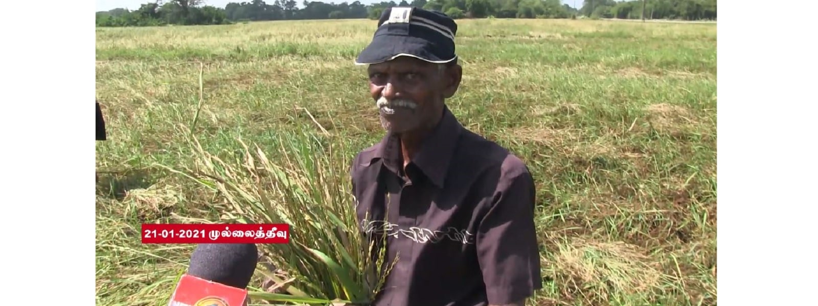 நட்டஈடு வழங்குமாறு விவசாயிகள் கோரிக்கை 