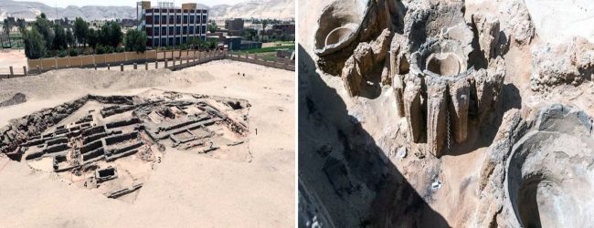 எகிப்தில் 5,000 ஆண்டுகள் பழமையான மதுபான ஆலை கண்டுபிடிப்பு