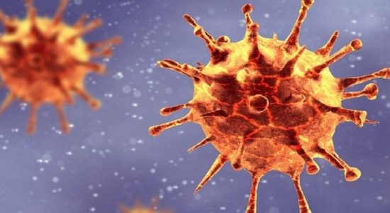 யாழில் இன்று 129 பேருக்கு COVID-19 தொற்று உறுதி
