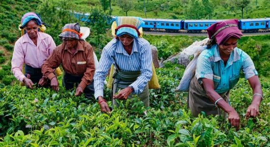 1,000 ரூபா : மனு மீதான விவாதத்தை நடத்த அனுமதி