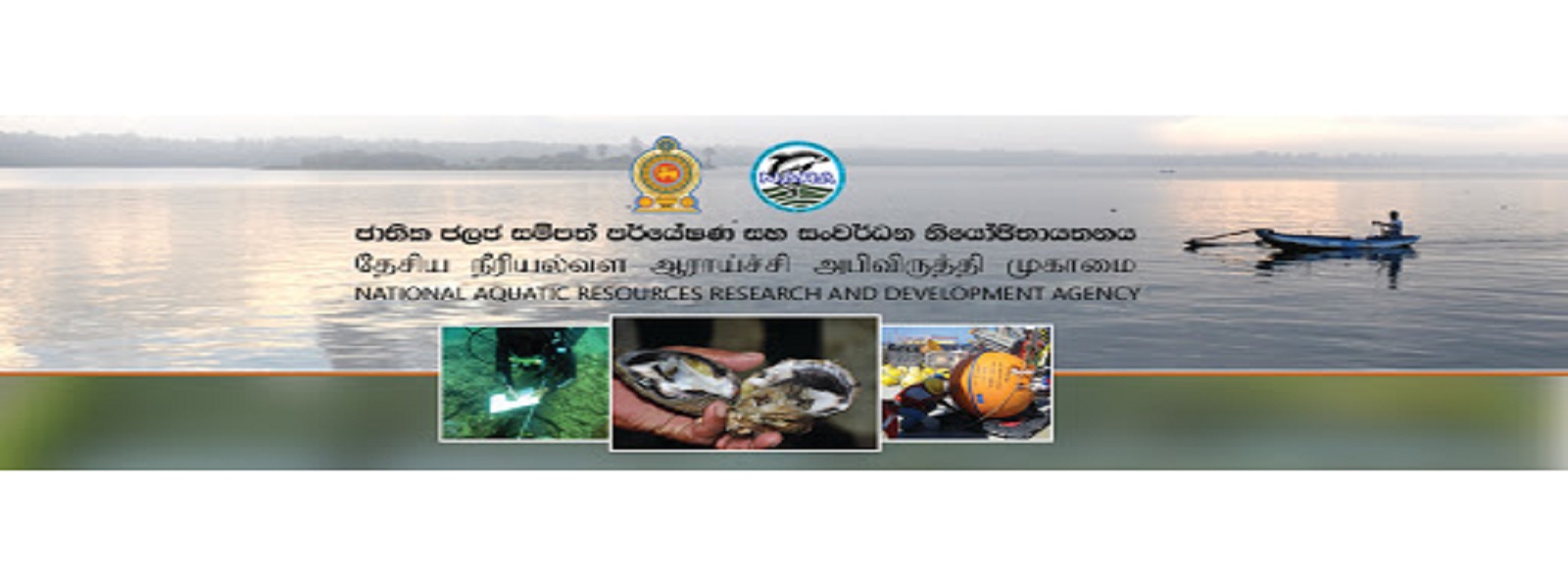 கடலில் நச்சுப் பதார்த்தங்கள் கலந்துள்ளனவா என ஆய்வு