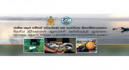 கடலில் நச்சுப் பதார்த்தங்கள் கலந்துள்ளனவா என ஆய்வு