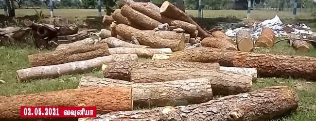 வவுனியாவில் பாரிய மரக் கடத்தல் முயற்சி முறியடிப்பு