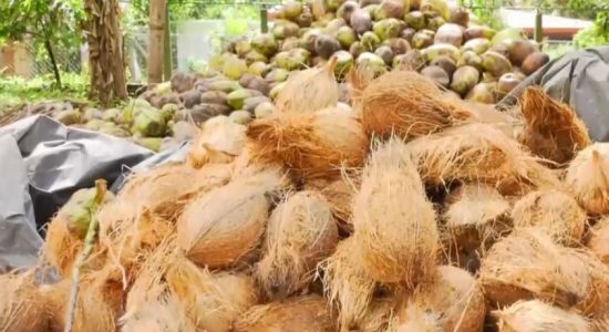 தேங்காய்க்கான அதிகூடிய சில்லறை விலை இரத்து 