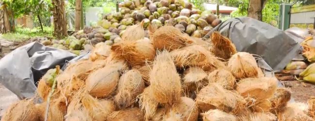 தேங்காய்க்கான அதிகூடிய சில்லறை விலை இரத்து 