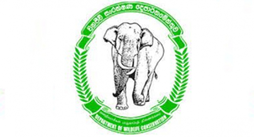 அனைத்து தேசிய பூங்காக்களும் இன்று (26) முதல் மீள திறப்பு