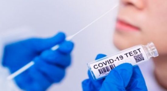 PCR மற்றும் Antigen பரிசோதனைகளுக்கான அதிகபட்ச கட்டணம் நிர்ணயம்