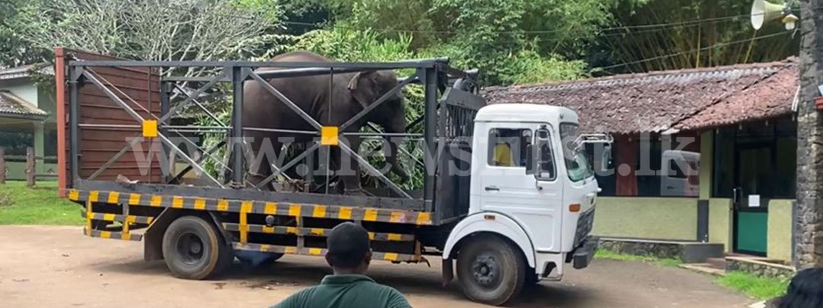 தடுத்துவைக்கப்பட்டிருந்த யானைகள் கையளிப்பு