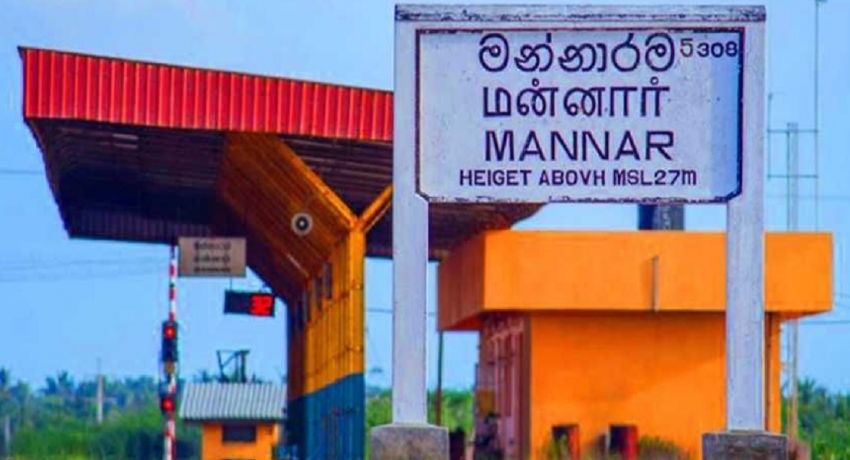 மன்னாரில் தடுப்பூசி அட்டைகள் பரிசோதனை