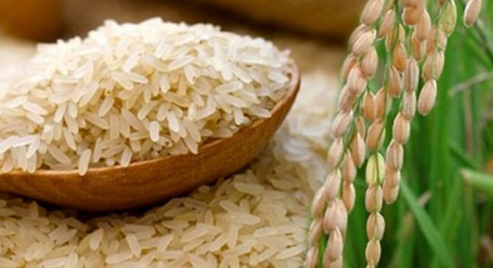 அரிசி விலை நியாயமற்றது - லசந்த அழகியவன்ன