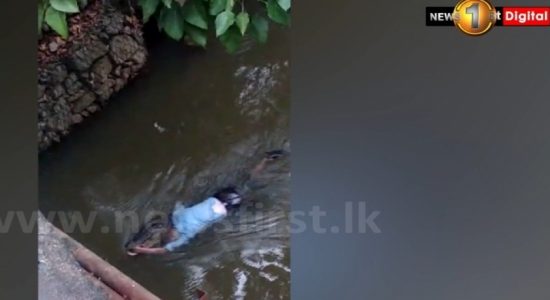 முதலை இழுத்துச்சென்ற சடலம் அடையாளம் காணப்பட்டது
