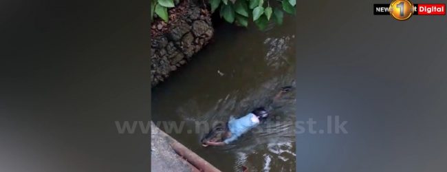 முதலை இழுத்துச்சென்ற சடலம் அடையாளம் காணப்பட்டது