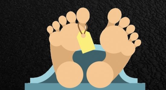 கனமழையால் 06 பேர் உயிரிழப்பு 