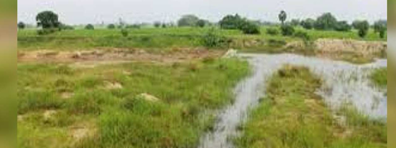 மேல் மாகாணத்தில் 80,000 ஏக்கர் தரிசு நிலங்கள்