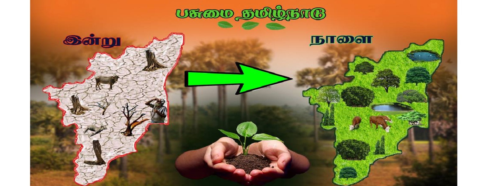 பசுமை தமிழ்நாடு திட்டத்தை செயற்படுத்த அரசாணை