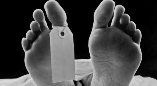தெஹிவளை கடலில் முதலை தாக்கி ஒருவர் பலி 