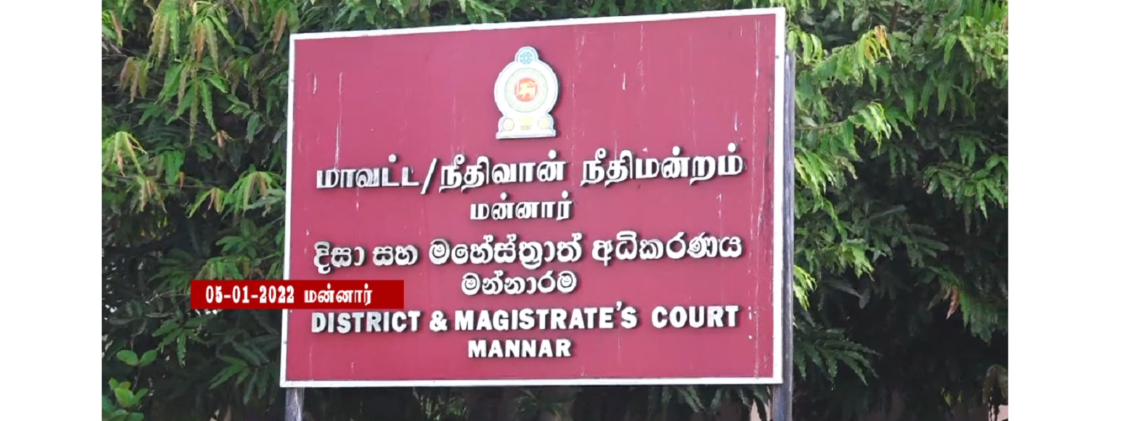 தலைமன்னாரில் கைதான 12 இந்திய மீனவர்கள் விடுவிப்பு