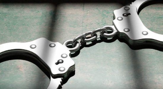 ஒரு தொகை தங்க நகைகளுடன் பெண் கைது