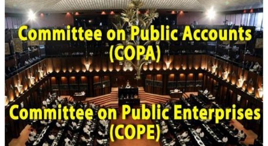 COPE, COPA குழுக்களின் தலைவர்கள் மீண்டும் தெரிவு