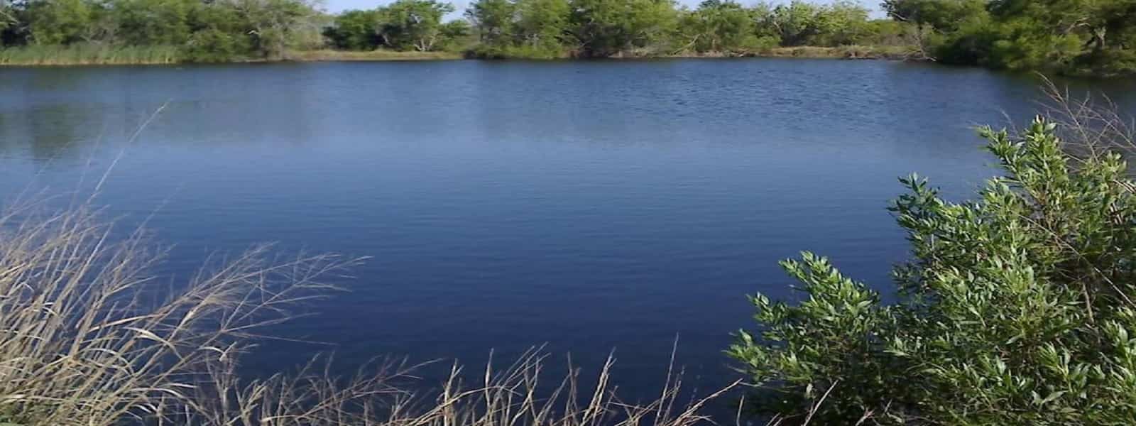 100 குளங்களை புனரமைக்க 100மில்லியன் ரூபா ஒதுக்கீடு