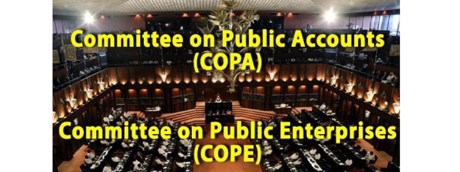 COPE, COPA குழுக்களின் தலைவர்கள் மீண்டும் தெரிவு