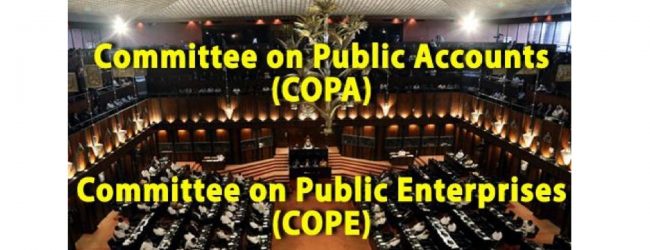 COPE, COPA குழுக்களின் தலைவர்கள் மீண்டும் தெரிவு