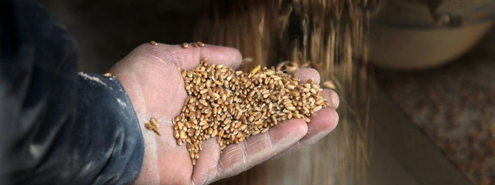 உணவு விநியோகத்தில் உக்ரைன் போர் தாக்கம் செலுத்தும்