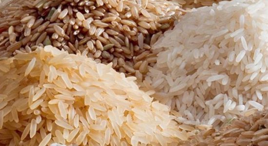 அரிசி விலை அதிகரிப்பை தடுக்க நடவடிக்கை 