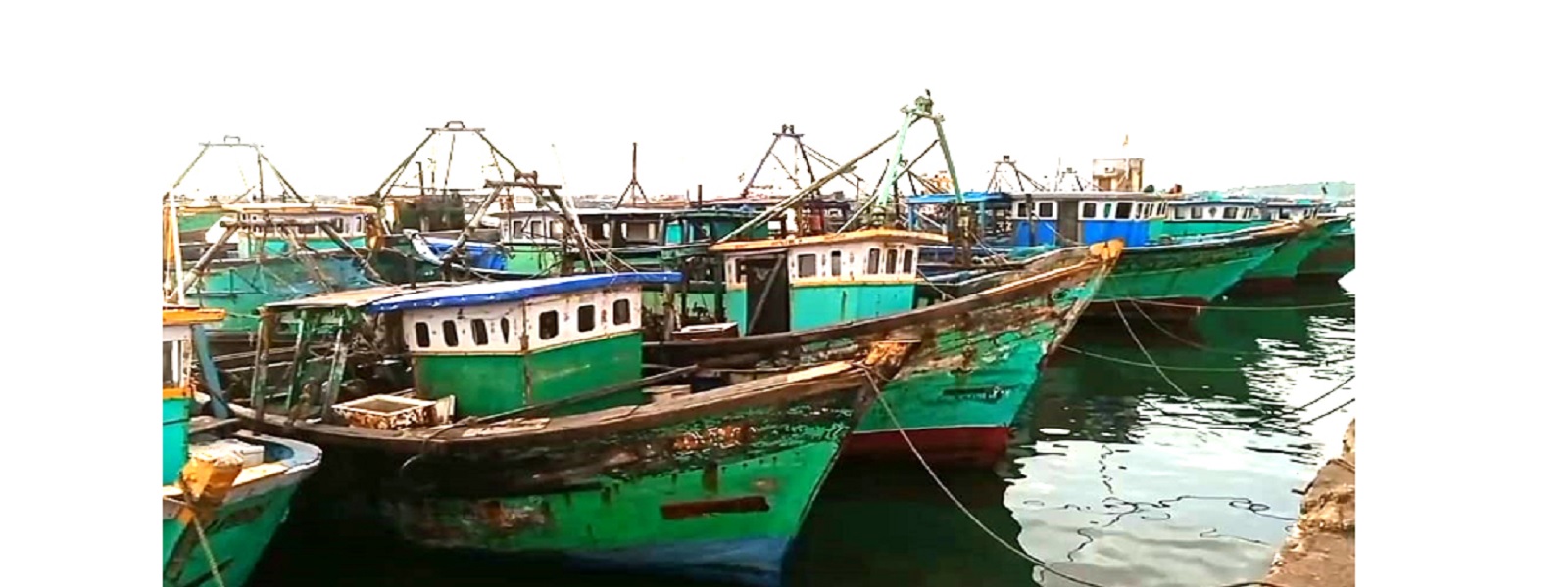 தமிழகத்தில் 61 நாட்களுக்கு மீன்பிடித் தடைக்காலம்  