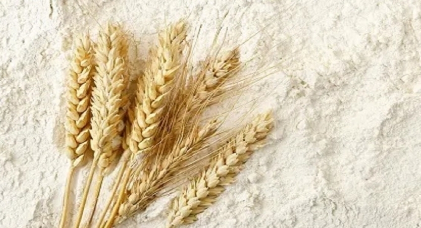 கோதுமை மாவின் விலை 40 ரூபாவால் அதிகரிப்பு 