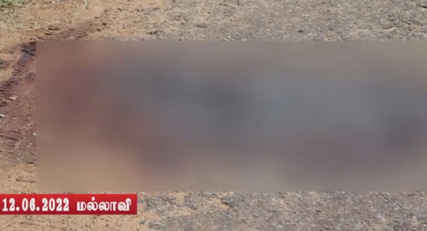 மல்லாவி பகுதியில் குடும்பஸ்தர் கொலை