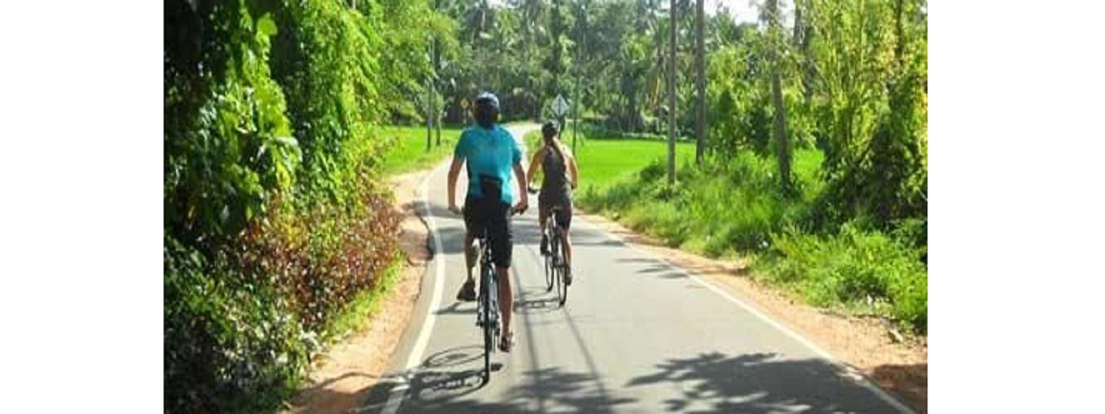 சைக்கிள் ஓட்டுநர்களை சோதனைக்கு உட்படுத்த நடவடிக்கை