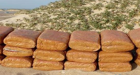 14 மில்லியன் ரூபா பெறுமதியான கேரள கஞ்சா கைப்பற்றல்