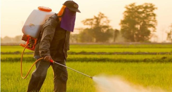 Glyphosate களைக்கொல்லி இறக்குமதிக்கு அனுமதி