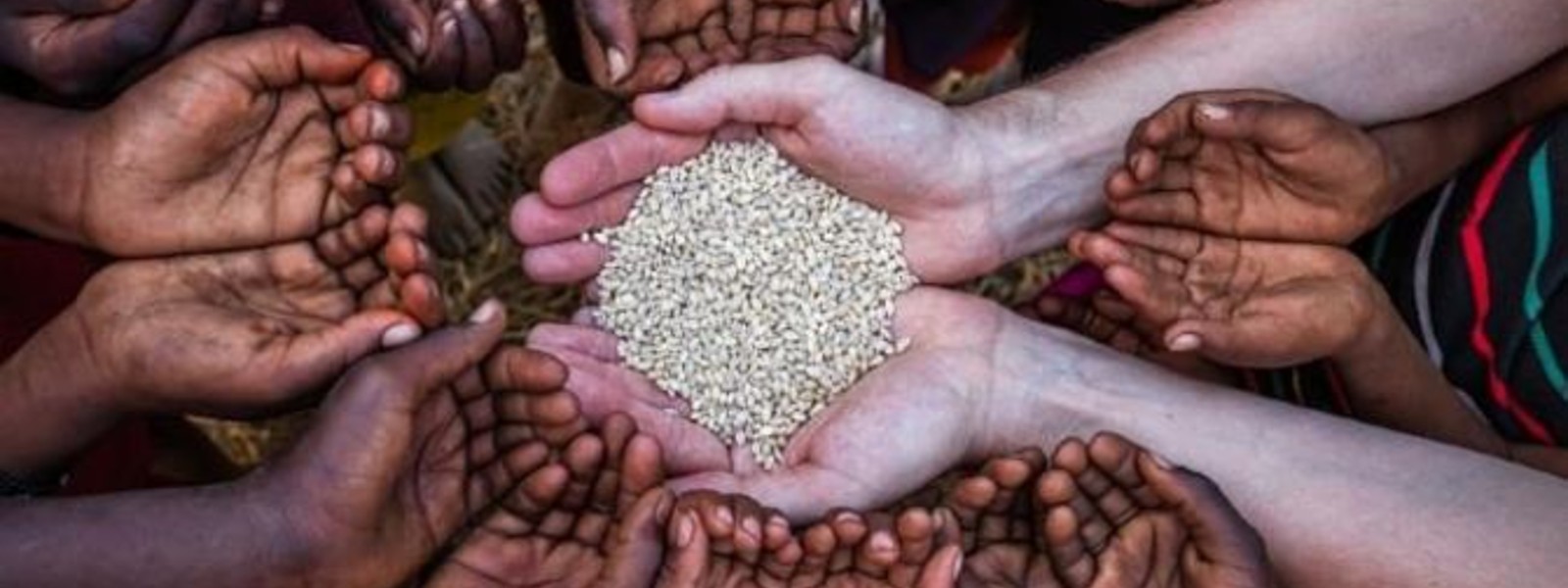 உணவு பாதுகாப்பற்ற நிலை - உலக உணவு திட்டம்
