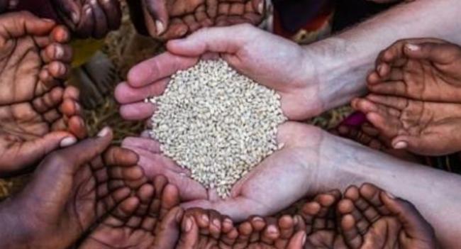 உணவு பாதுகாப்பற்ற நிலை - உலக உணவு திட்டம்