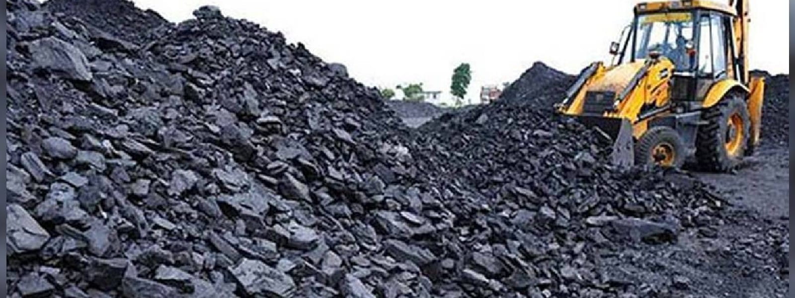 நாட்டை வந்தடையவுள்ள 14 நிலக்கரி கப்பல்கள்
