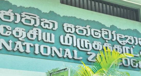 மிருகக்காட்சி சாலையை இலவசமாக பார்வையிட சந்தர்ப்பம்